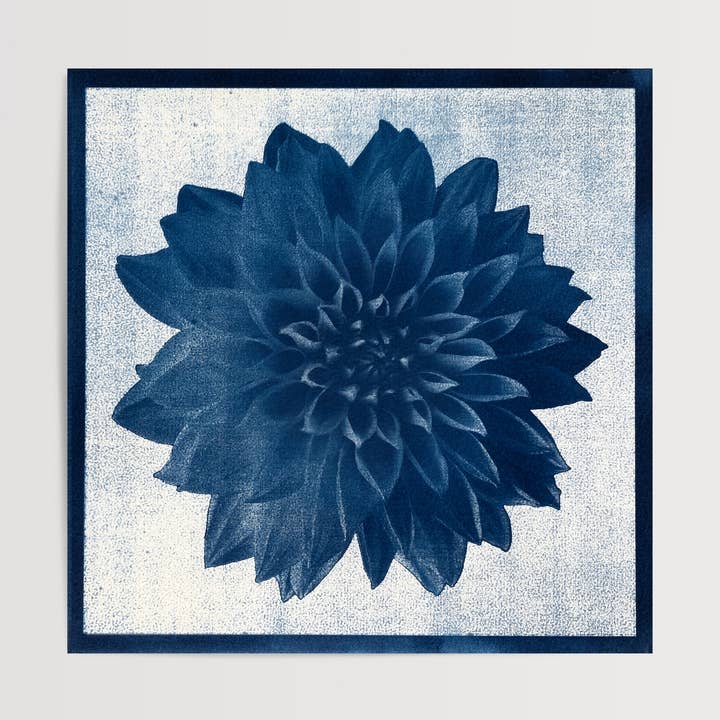 Dahlia I - Fine Art Flower Print with Border for wholesale by Wild Folklore by Alyson Brown