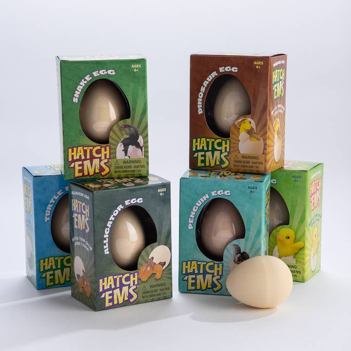 GeoCentral – wholesale Classic toy – Kids – Chicken Eggs (Mini Hatch'ems) | Watch them Grow!