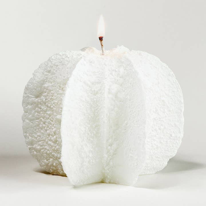 CANDLE CORAL for wholesale by Manulena