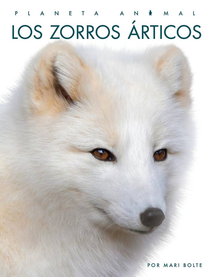 Los zorros árticos for wholesale by The Creative Company