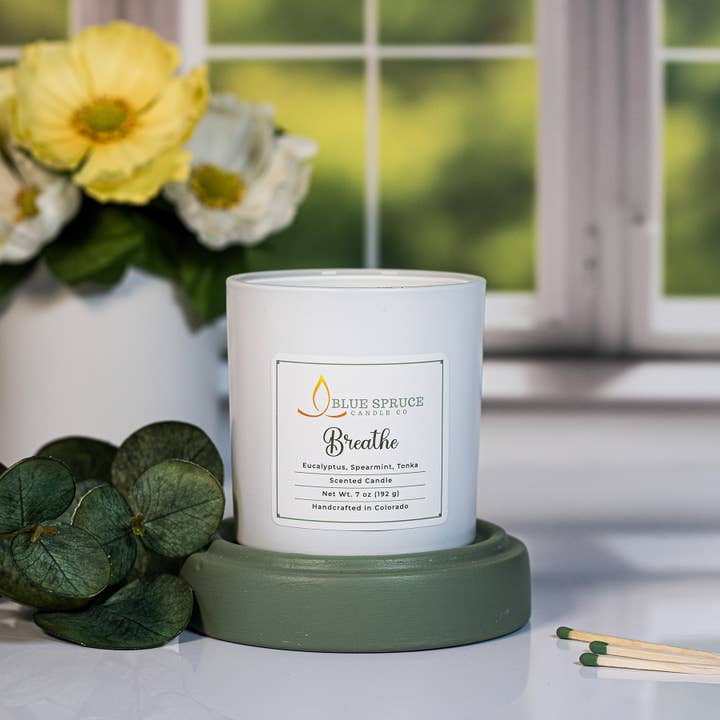 Eucalyptus Spa geurkaars, Aromatherapiekaars voor wholesale door Blue Spruce Candle Company