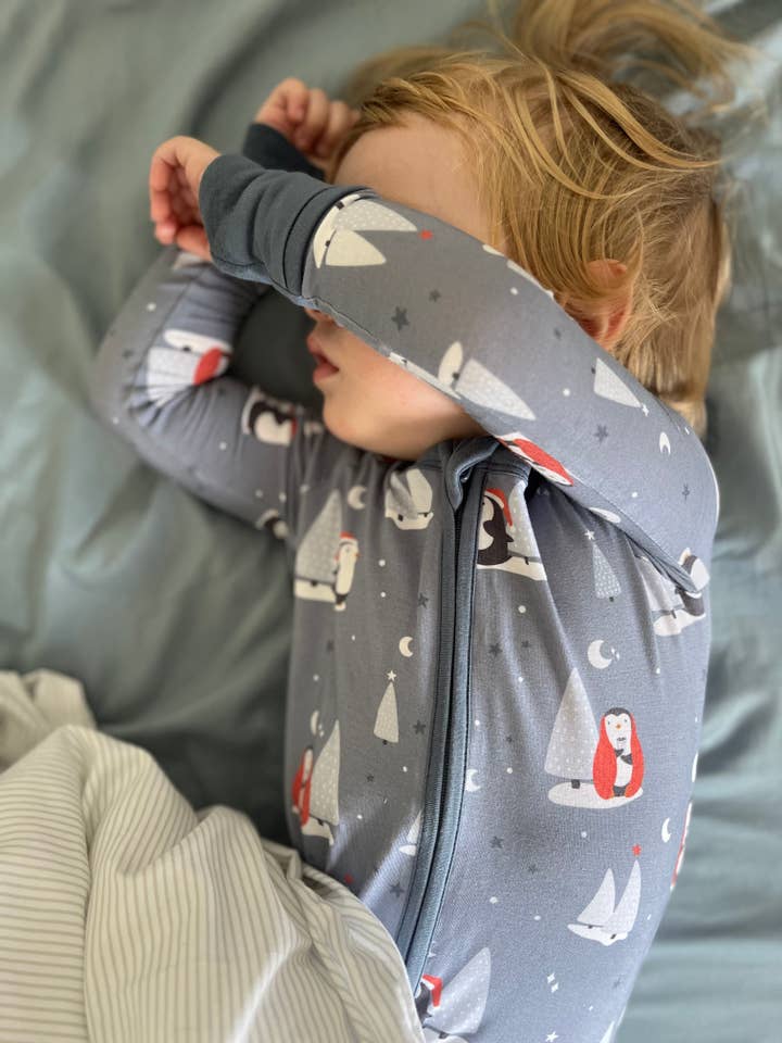 Stay Dreamy - Wholesale Jumpsuit - Baby - Snow Place Like Home- Zippy Romper8