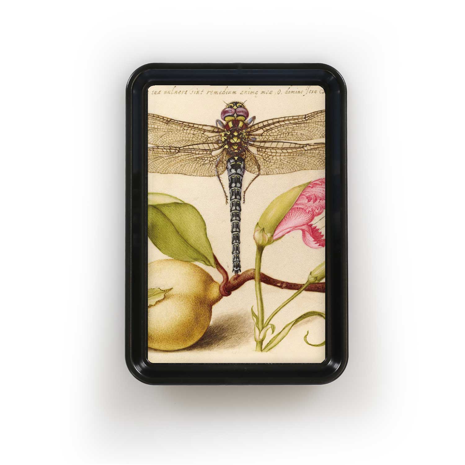 Lucy Lu Designs - Wholesale Decorative Tray - Dragonfly Insect Beautiful Classic Tray1