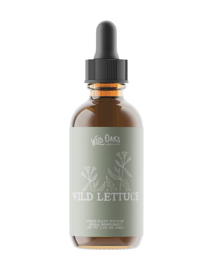 Wild Lettuce Tincture for wholesale by Wild Oaks Apothecary
