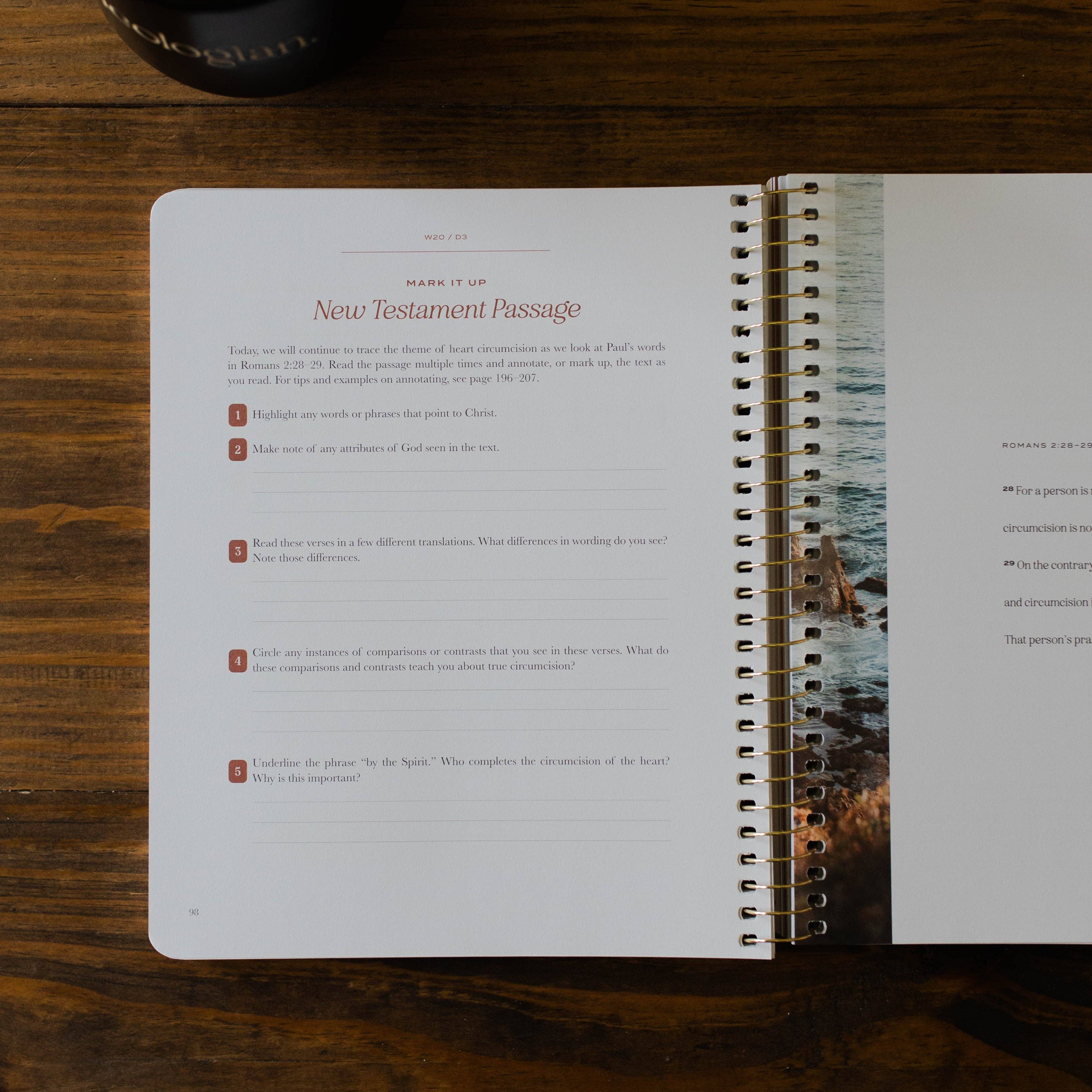 The Daily Grace Co - Vente Religion - Le Christ dans toutes les Écritures | Volume 2 | Hommes3