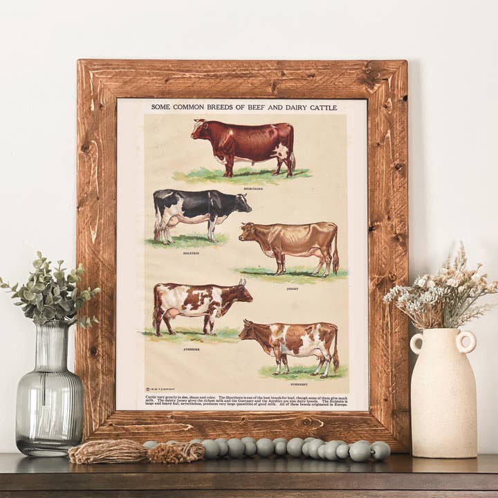 Vintage Cattle Breeds Chart Framed Farmhouse Wall Art for wholesale by Swinford Designs