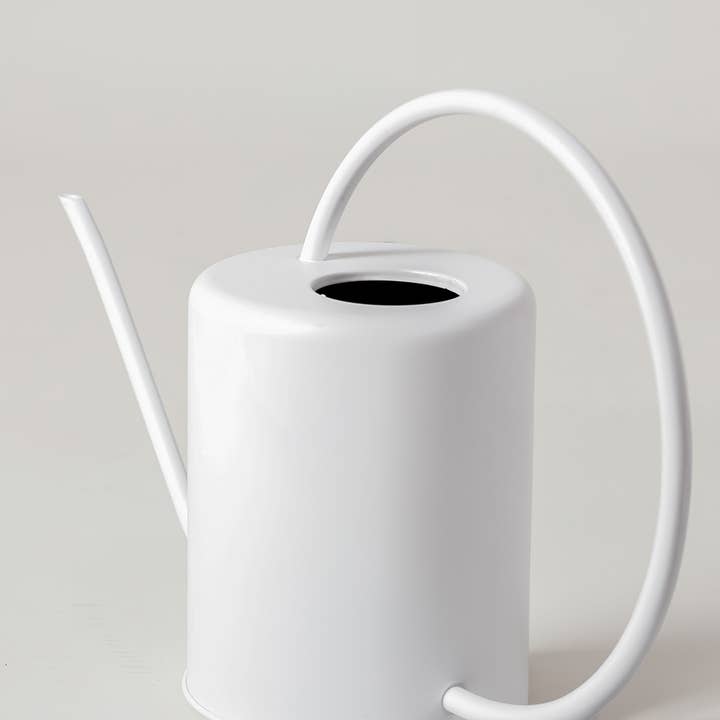 Kanso Designs - Wholesale Watering Can - 2L Stainless Steel Watering Can6