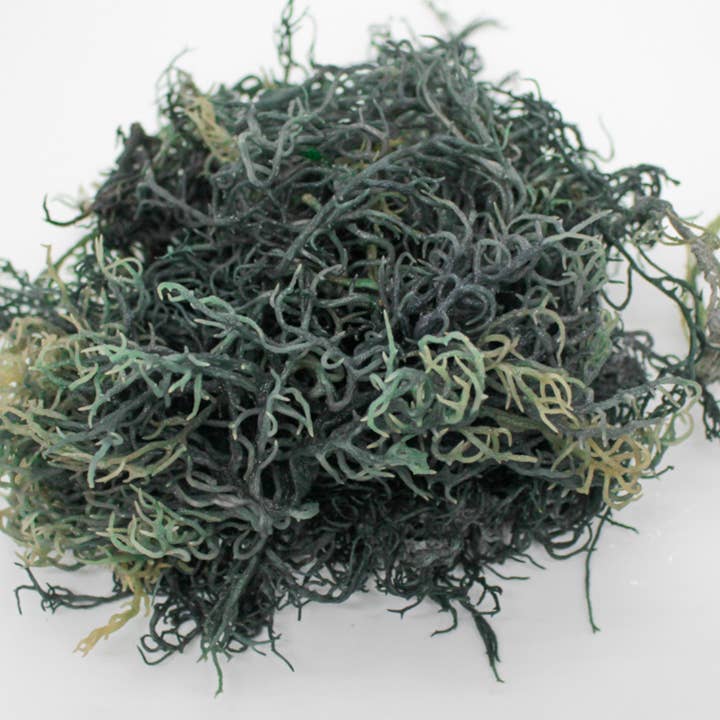 Atlantic Gold Sea Moss - Wholesale Oral Supplement/Vitamin - Green Sea Moss 2 oz| Lab-Tested | Sun-dried |Wild-harvested1