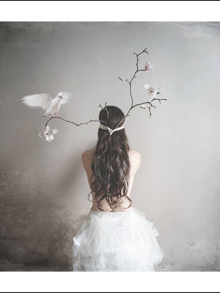 MAGNOLIA - Art print - 70x70 cm - Limited Edition for wholesale by TOVE FRANK