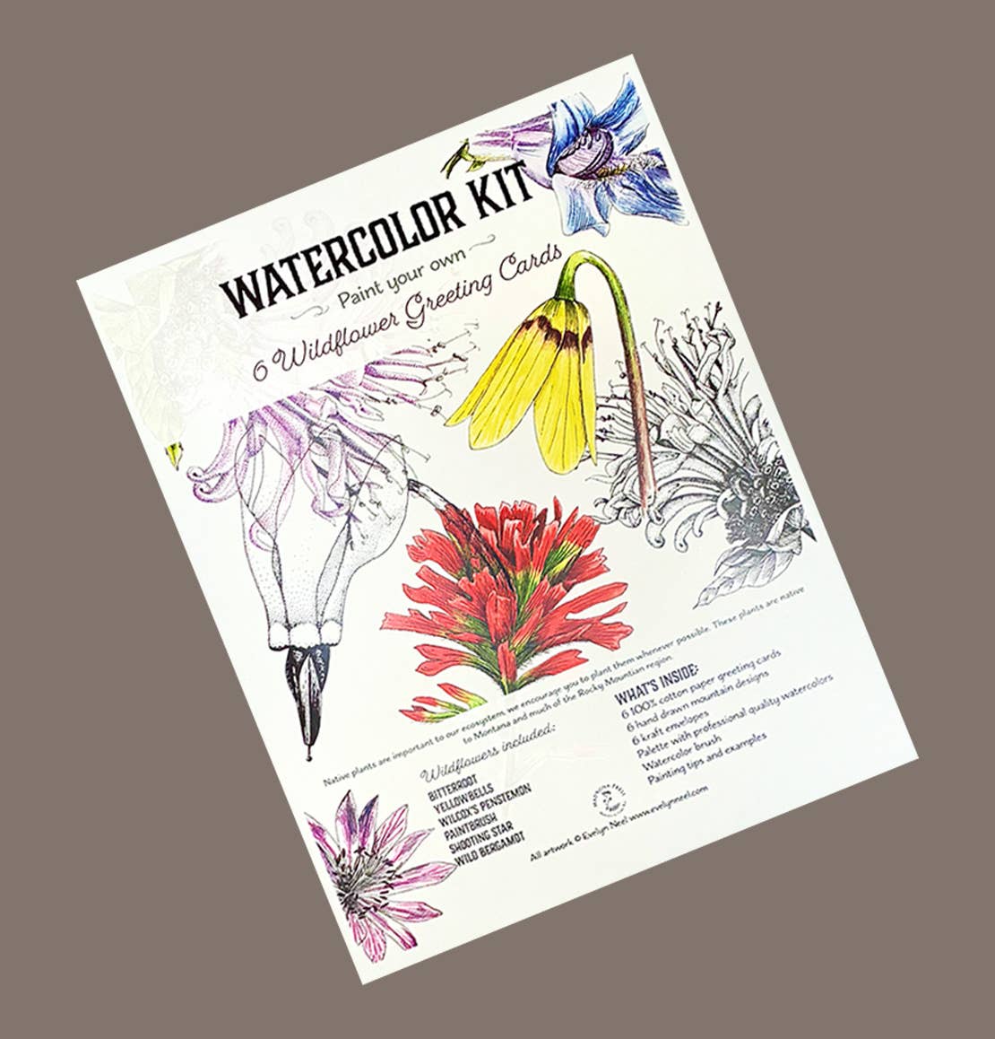 Madrona Press - Wholesale DIY Craft Kit - Watercolor Greeting Card Kit - Wildflower 6 Cards1