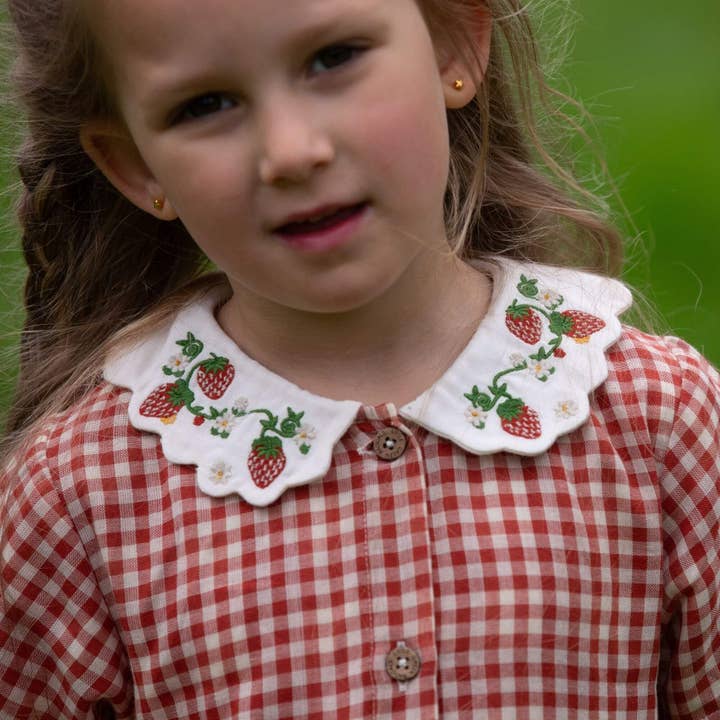 Little Red Check Button Through Short Sleeve Dress for wholesale on Faire