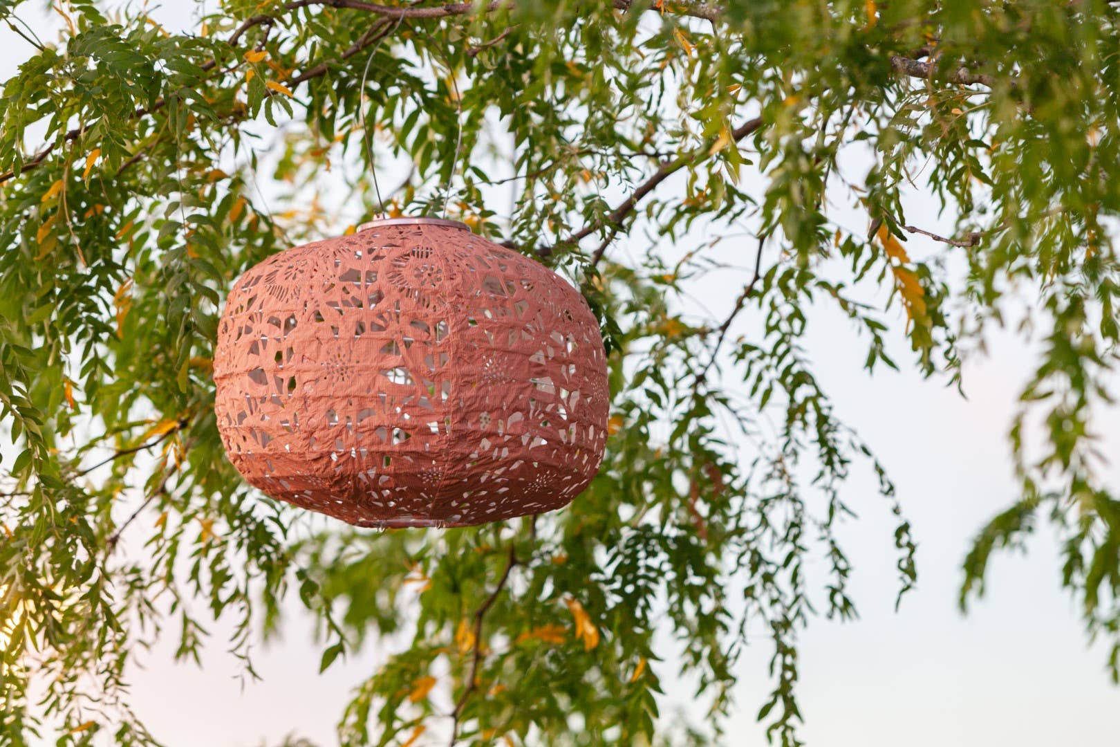 Allsop Home & Garden - Wholesale Outdoor/Lawn Light - Stella Square Sunflower 11" Solar Lantern - Clay15