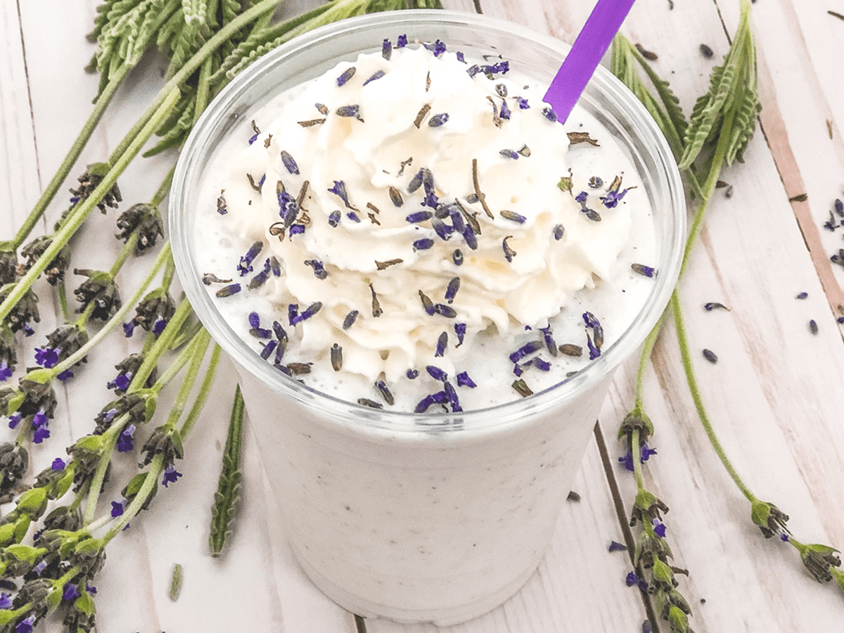 Innovative Beverage Concepts - Wholesale Hot Cocoa Mix/Kit - MOCAFE™ Premium Sweet Ground White Chocolate2