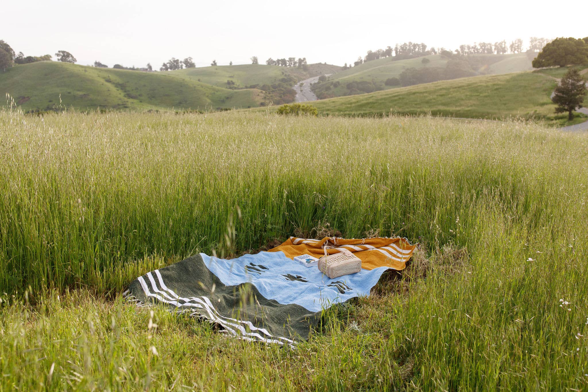 Caminito – wholesale Picnic blanket – Horizonte Lago - Blanket Roll5