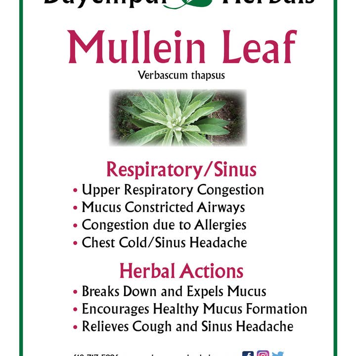 Dayempur Herbals - Wholesale Tincture - Mullein Leaf3