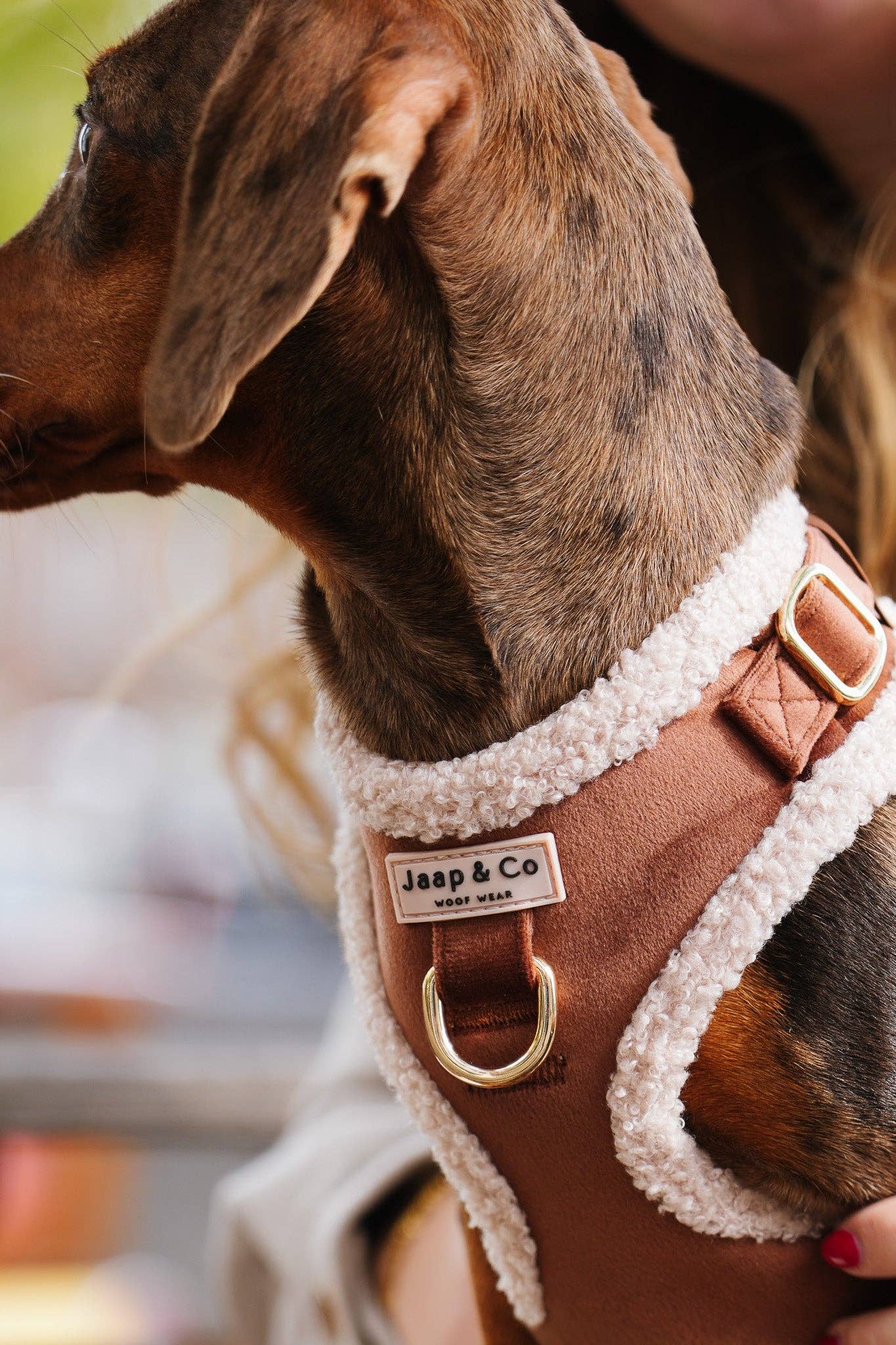 Jaap & Co - Woof Wear - Wholesale Pet Harness - Dog - Soft Season - Dog Harness4