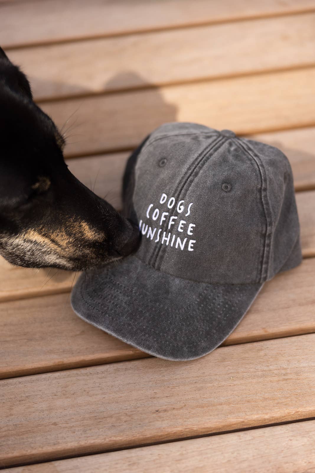 Lieblingspfote - Wholesale Baseball Cap - Unisex - Cap DOGS COFFEE SUNSHINE Vintage Black2