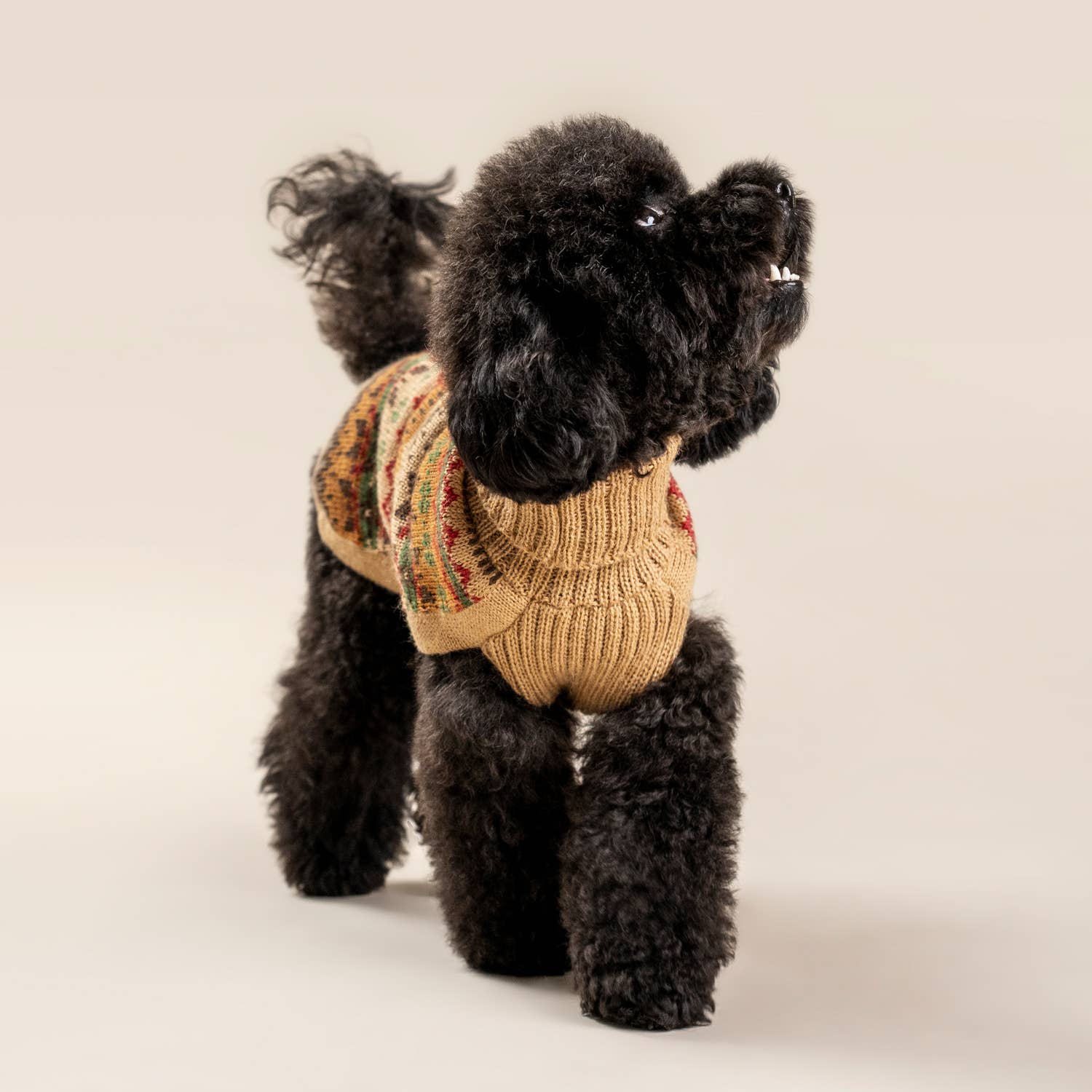 Alqo Wasi - Wholesale Pet Sweater - Dog - Fair Isle Finn Alpaca Dog Sweater1