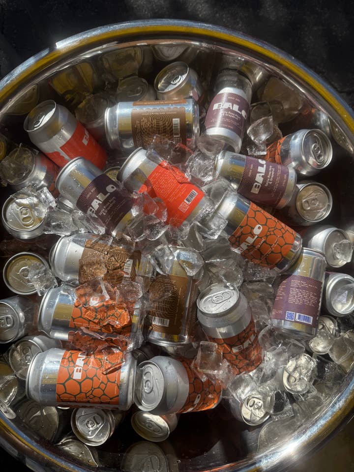 Mixed 4 flavors Raw Kombucha for wholesale by BALO.CO