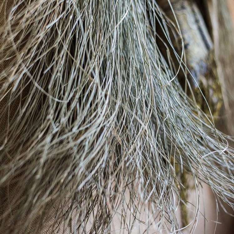 Rustic Reach - Wholesale Dried/Pressed Flowers - Dried Grass Bundle8