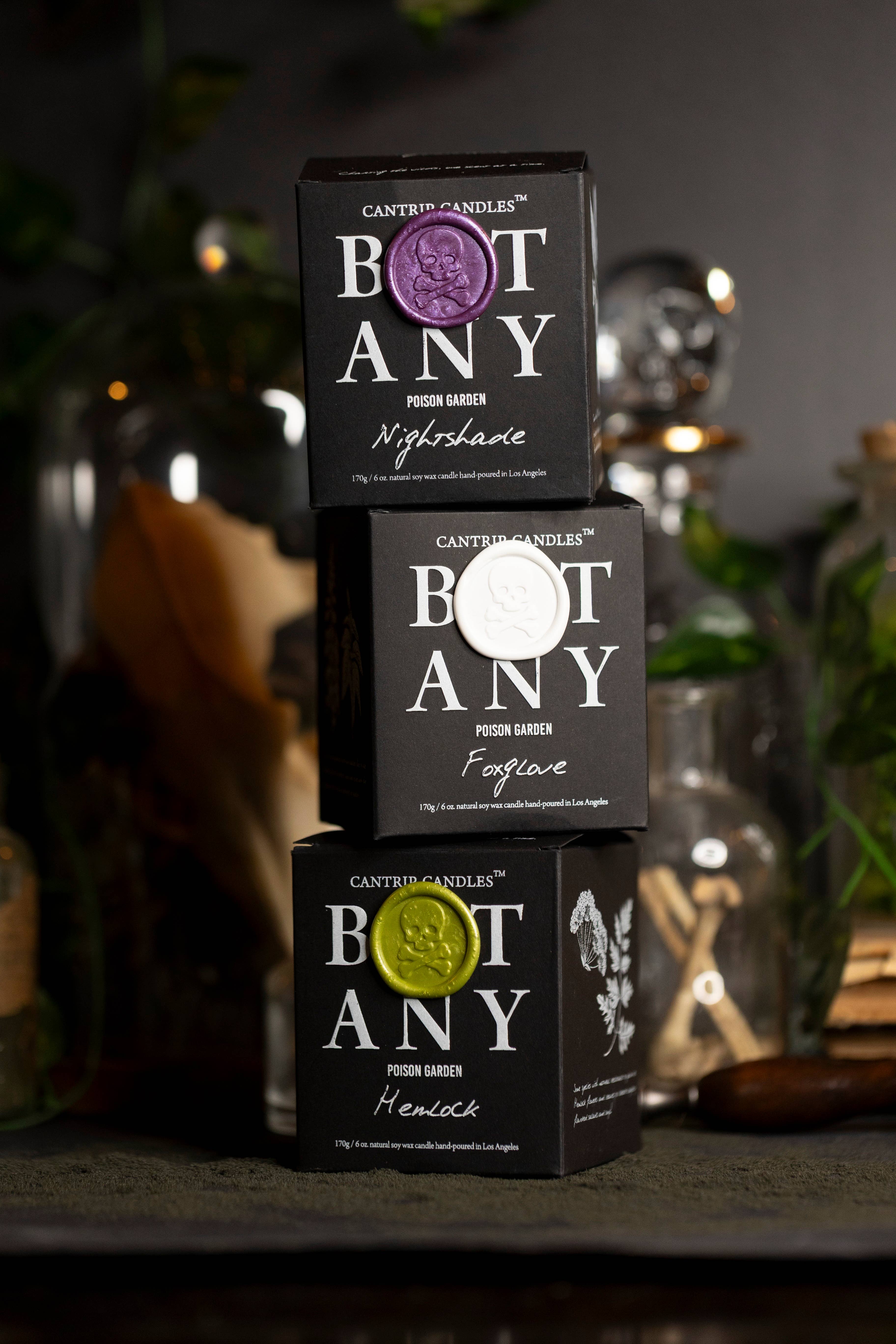 Cantrip Candles - Wholesale Jar/Filled Candle - The Botany Crate (Bulk 6oz candle rate)