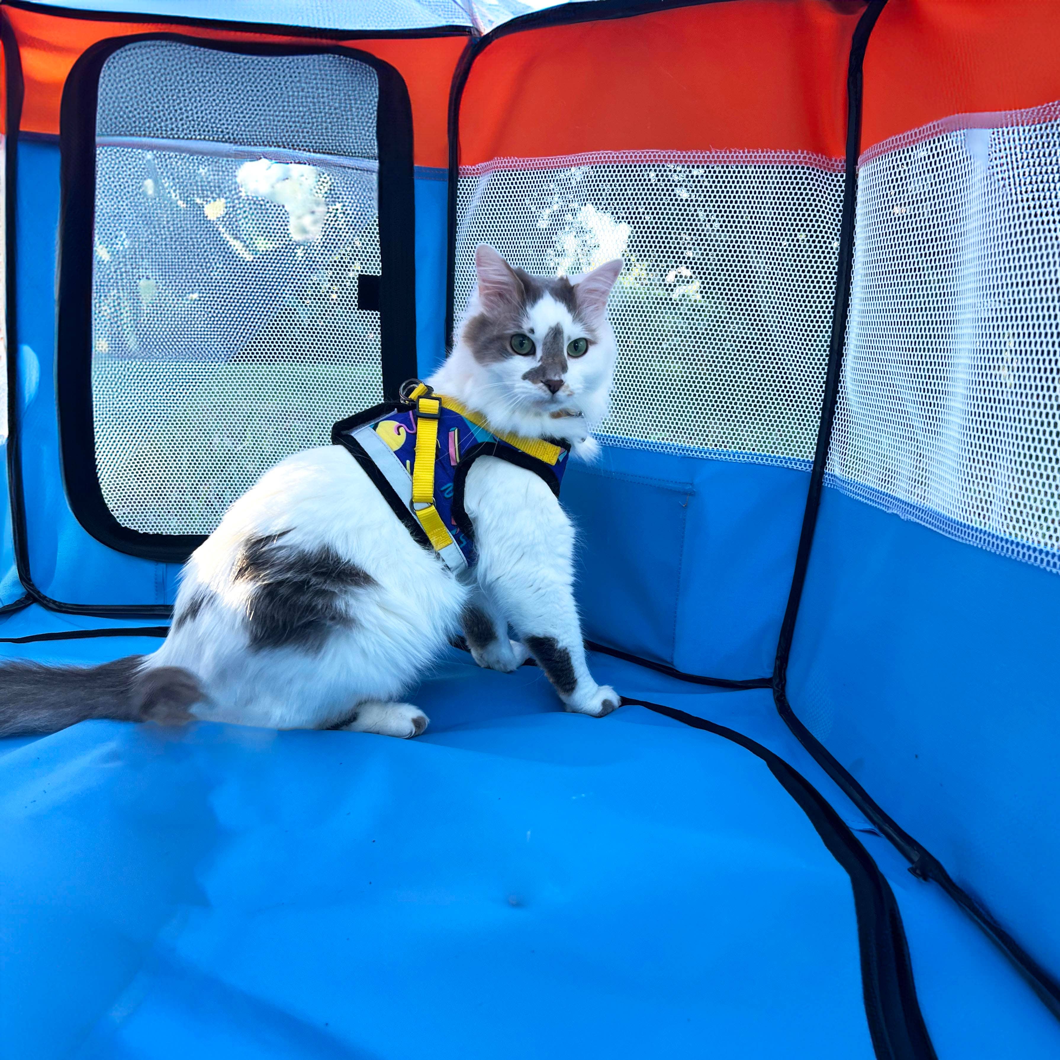 Travel Cat Wholesale - Venta al por mayor Tienda de campaña - Gatos y perros - The Feline Fun House - Tienda de juego portátil para gatos1