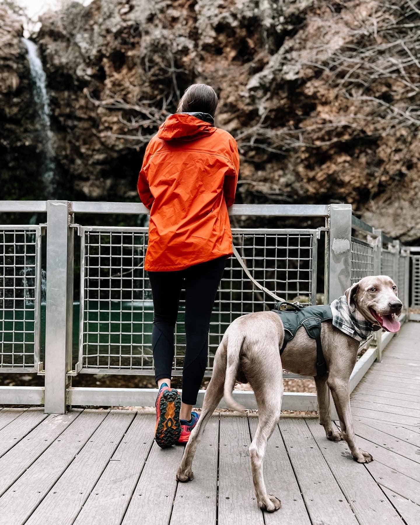 Ruff N' Fluff - Wholesale Pet Leash - Dog - 6 Ft. Adventure Proof Leashes9