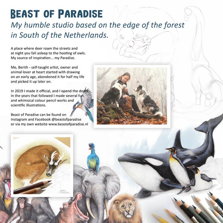 Beast Of Paradise – wholesale Födelsedagskort – Födelsedagskort, Söta fåglar, Djur gratulationskort, inbjuder