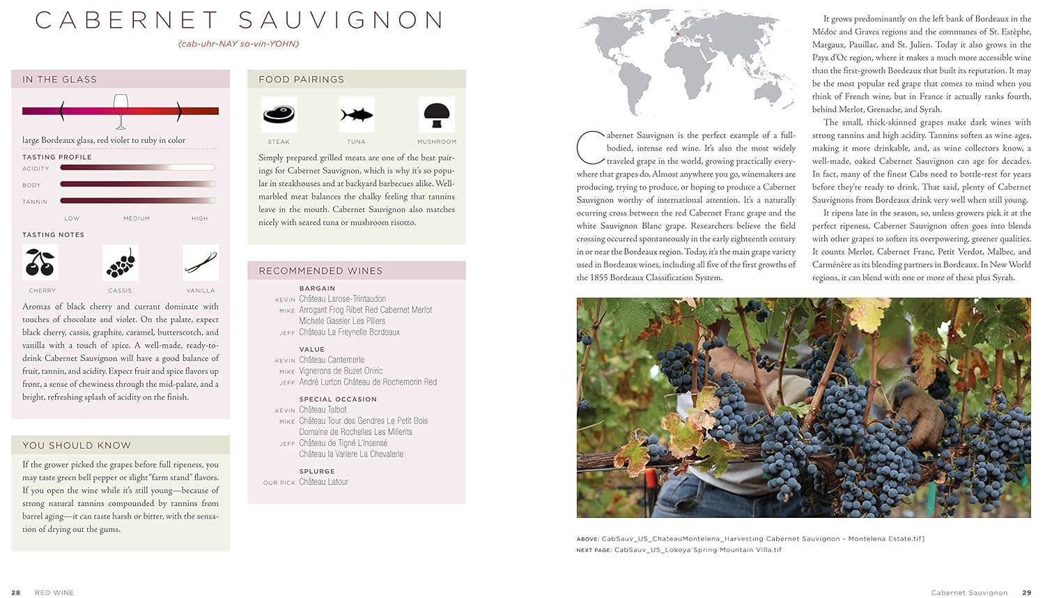 Hachette Book Group - Wholesale Mixology & Beverage - Red Wine: The Comprehensive Guide to the 50 Essential Styles3