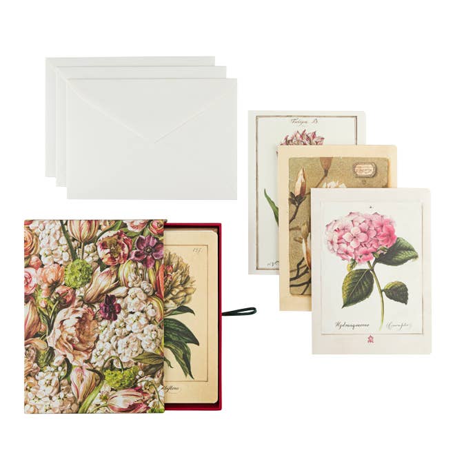 Greeting Card Set with Handmade Box and other Purchase Wholesale hydrangea seeds. Free Returns & Net 60 Terms on Faire trending on Faire.