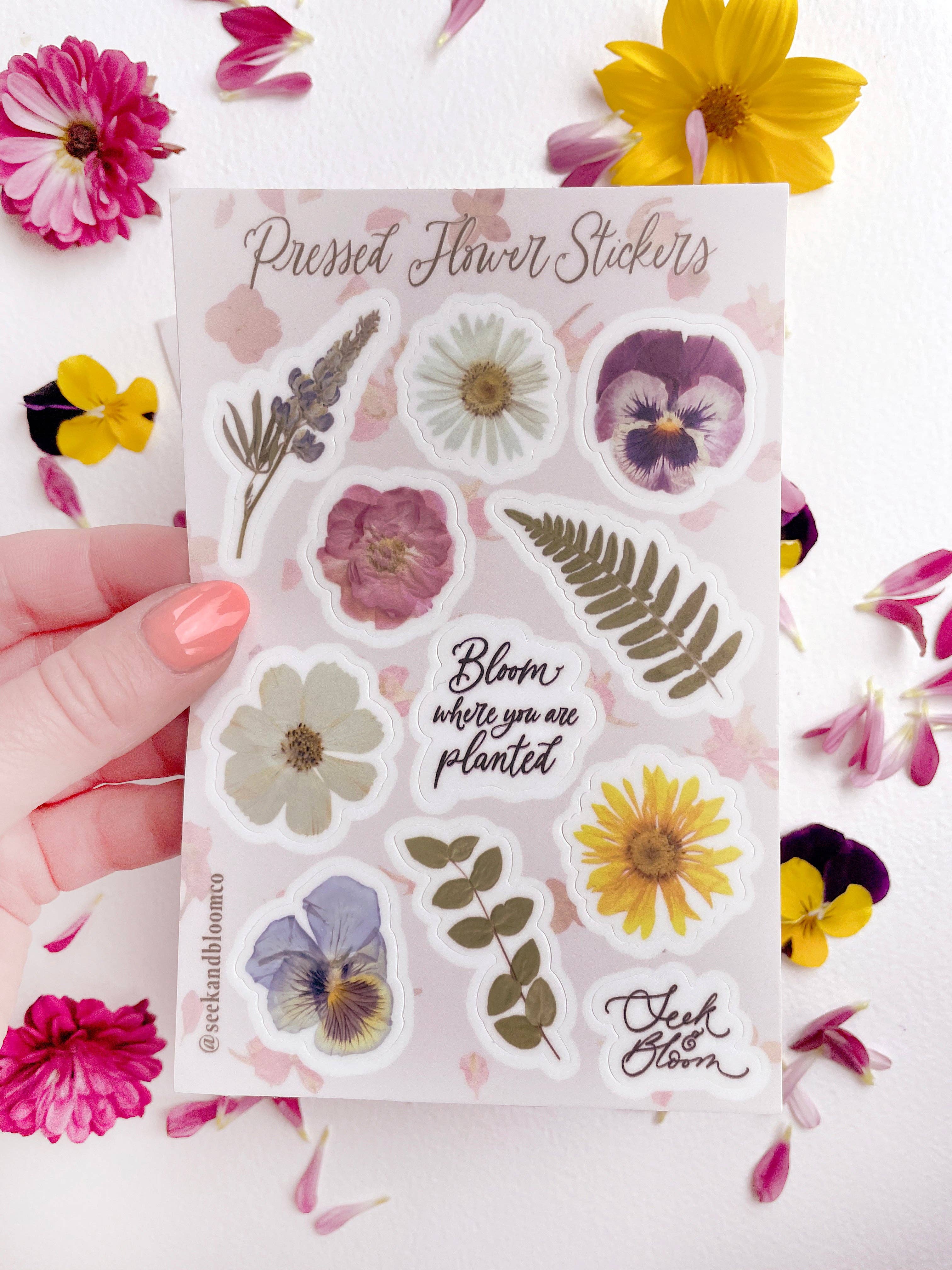 Seek & Bloom Creative Co. - Wholesale Sticker - Pressed Flowers Sticker 4x6" Sheet of 11 stickers1