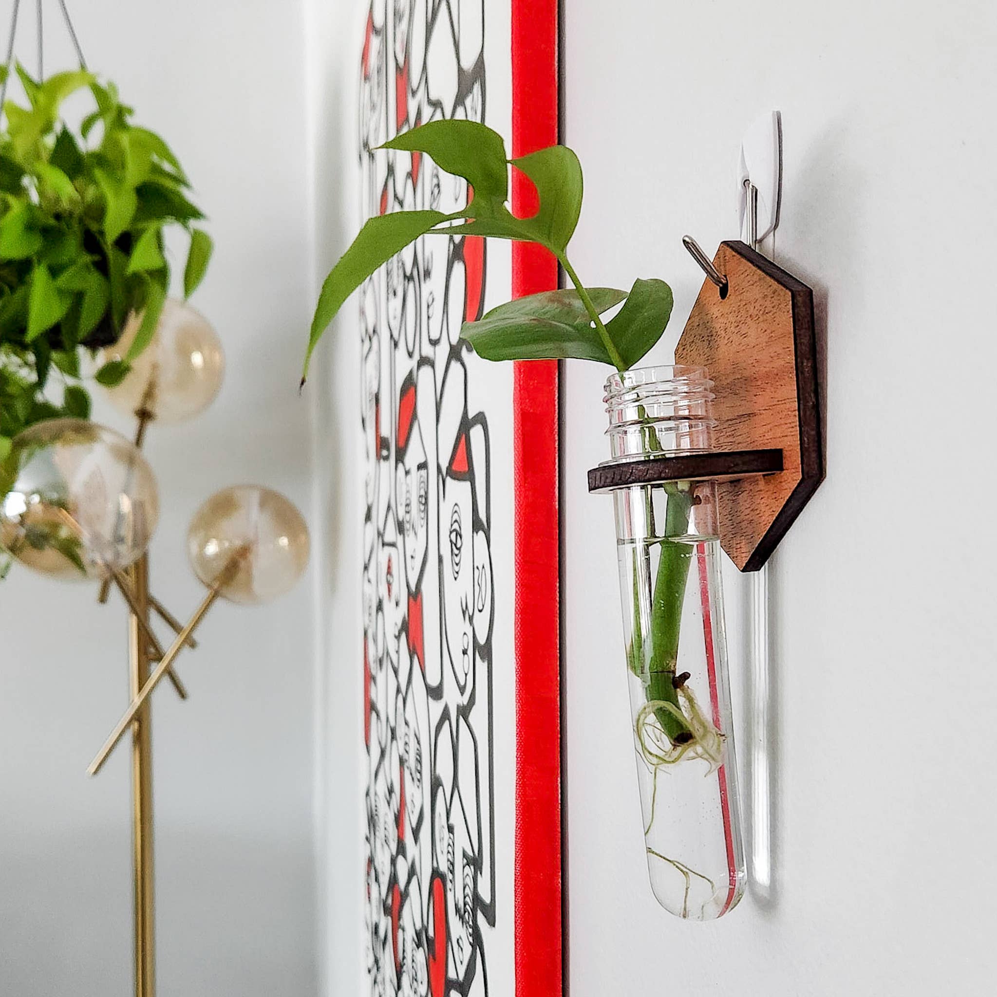 Leaf & Node - Wholesale Hanging Planter - Wall Hanging Propagation Station - Wooden Solid Hexagon8