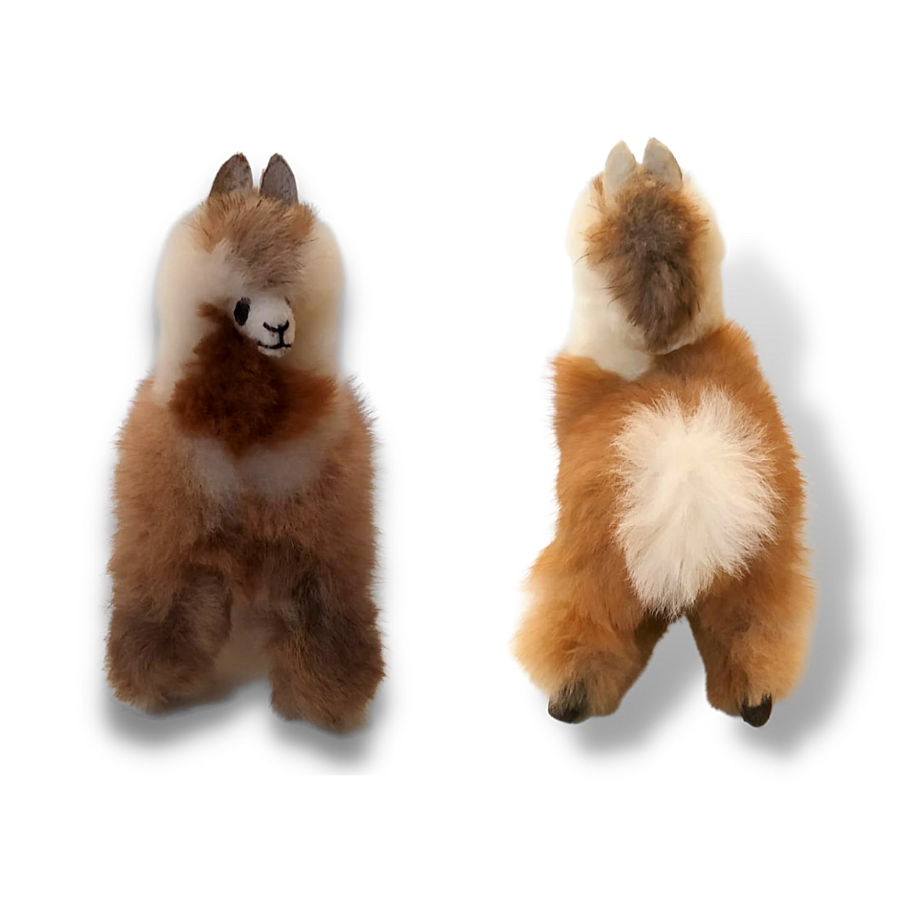 Blossom Inspirations – wholesale Stuffed/plush toy – Kids & baby – Llamaflash Alpaca fur toy6