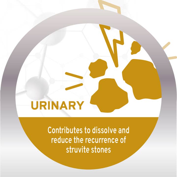 Forza10 Pet Food - Wholesale Pet Food - Dog - FORZA10 Active Urinary Dry Dog Food2