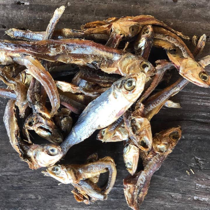 Tata’s Concept - Wholesale Pet Treats - Dog - Gone Fishing2