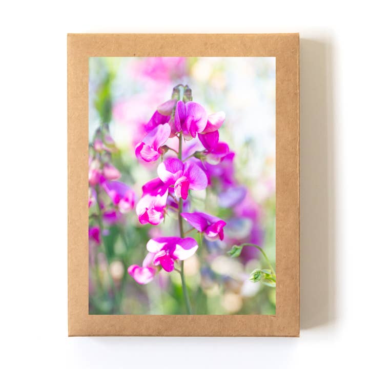 "Sweet Pea Pastels" Card Boxed Set (8 Cards + Envelopes) for wholesale by Andrea Morris Art