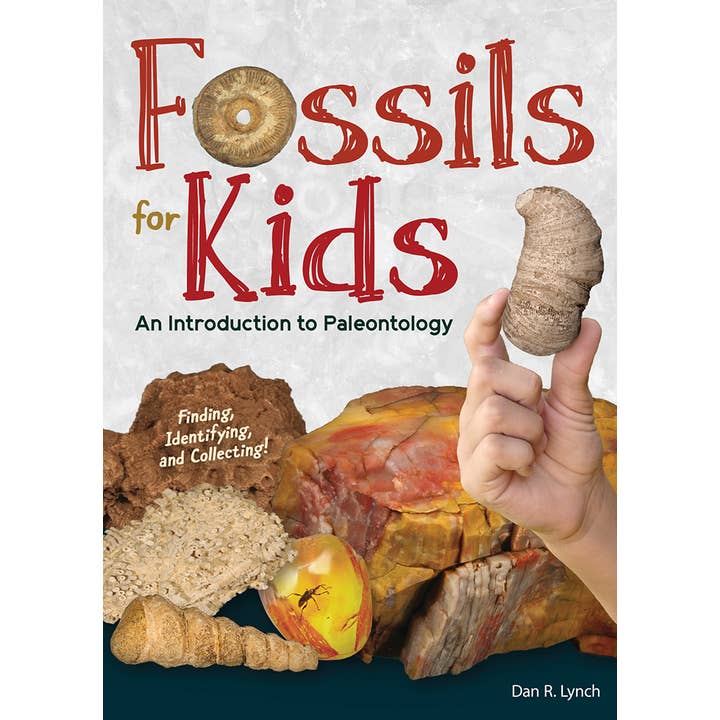 AdventureKEEN - Wholesale Book - Kids - Fossils for Kids