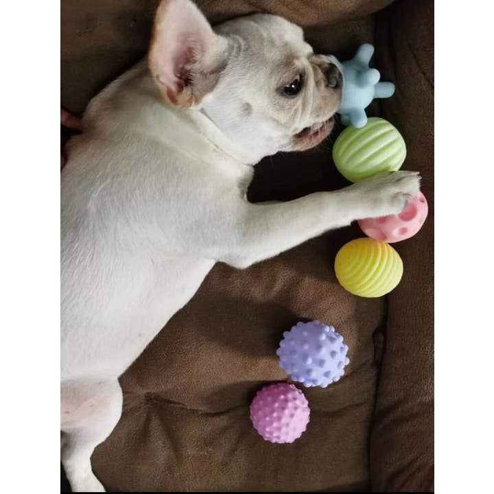 Doggotique - Wholesale Pet Chew Toy - Dog - Throw Ball for Dogs, Dog Toy Ball, Dog Ball Set