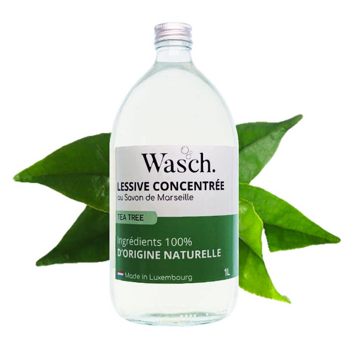 Wasch - Wholesale Liquid Laundry Detergent - “L'Originale” Laundry Detergent - Tea Tree