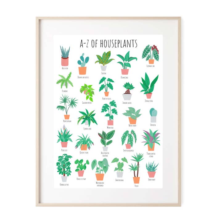 A-Z of Houseplants Art Print for wholesale by paigesillustrations