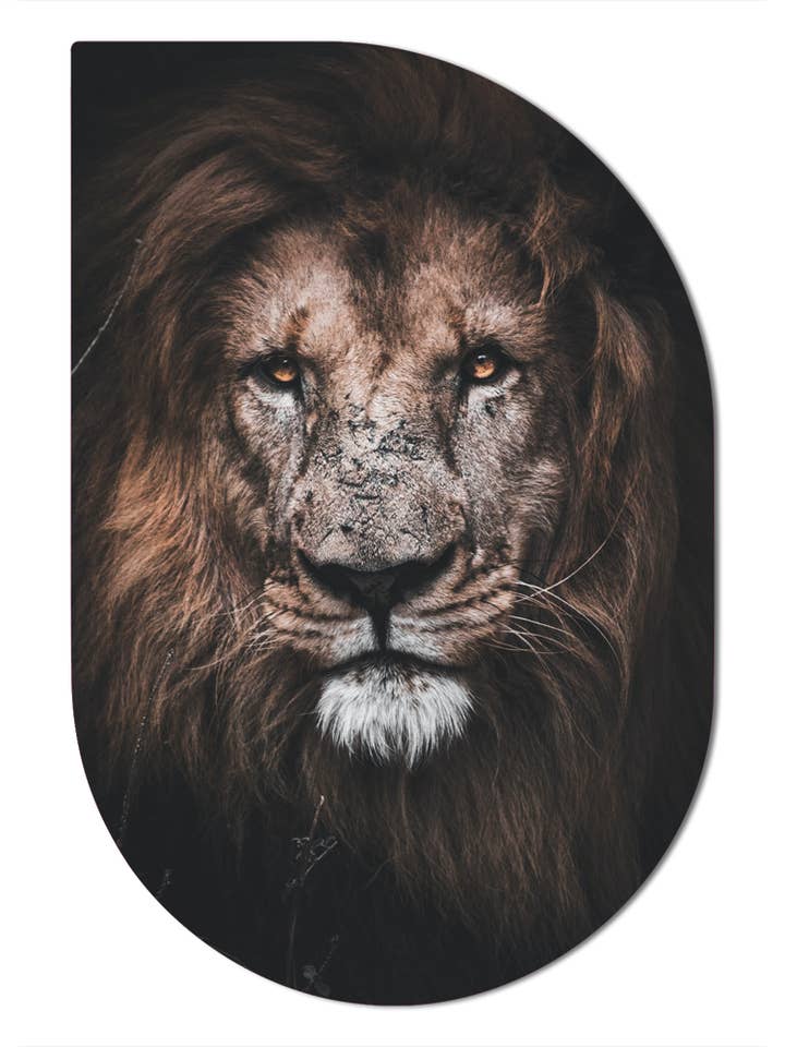 Leone ScandiArt per la vendita all'ingrosso da parte di Label2X B.V.