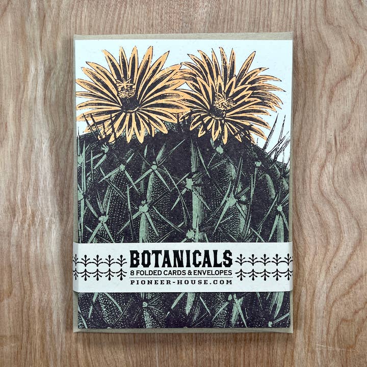 4 Packs Barrel Cactus Greeting Cards (32 cards) for wholesale by Pioneer House (formerly Yee-Haw)