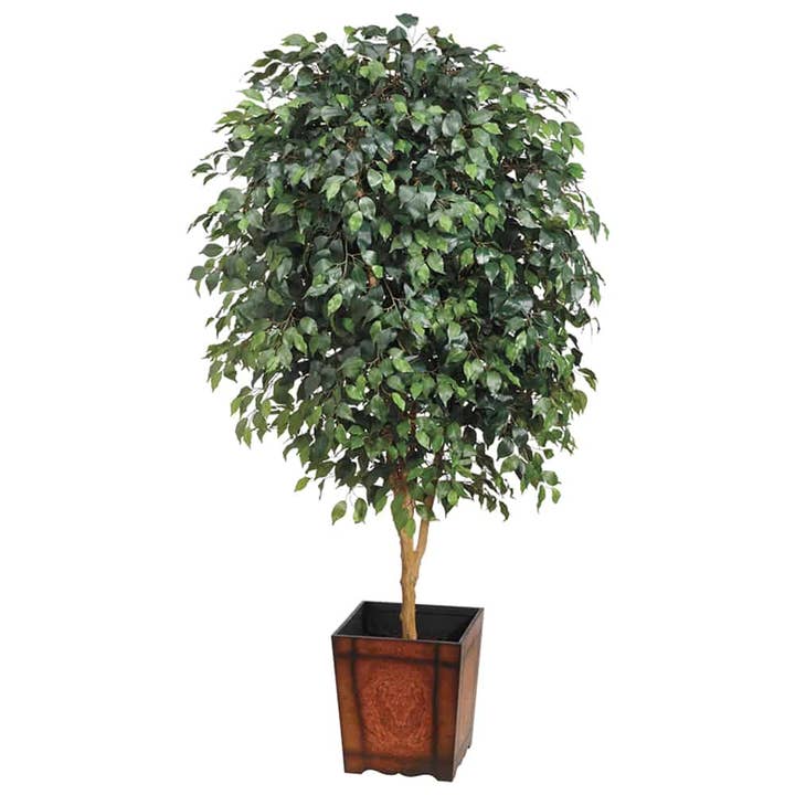 7' Ficus Tree in Wood Container Green for wholesale by Silk Flower Depot
