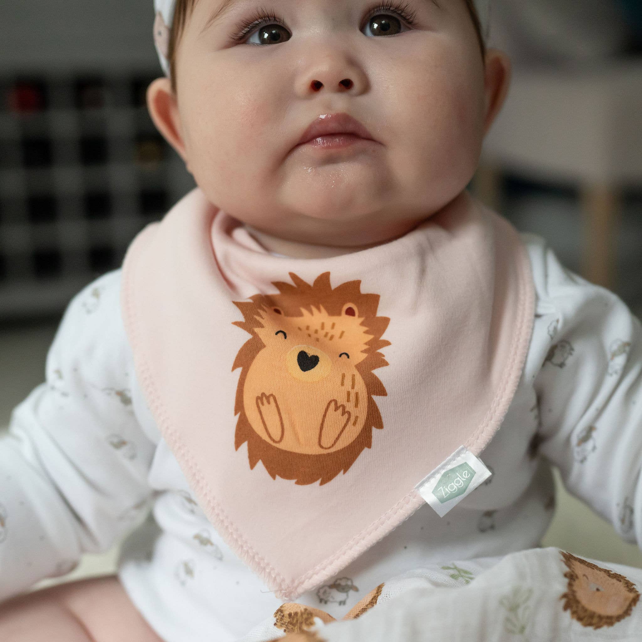 Ziggle Baby – wholesale Bib – Baby – Hedgehog bib4