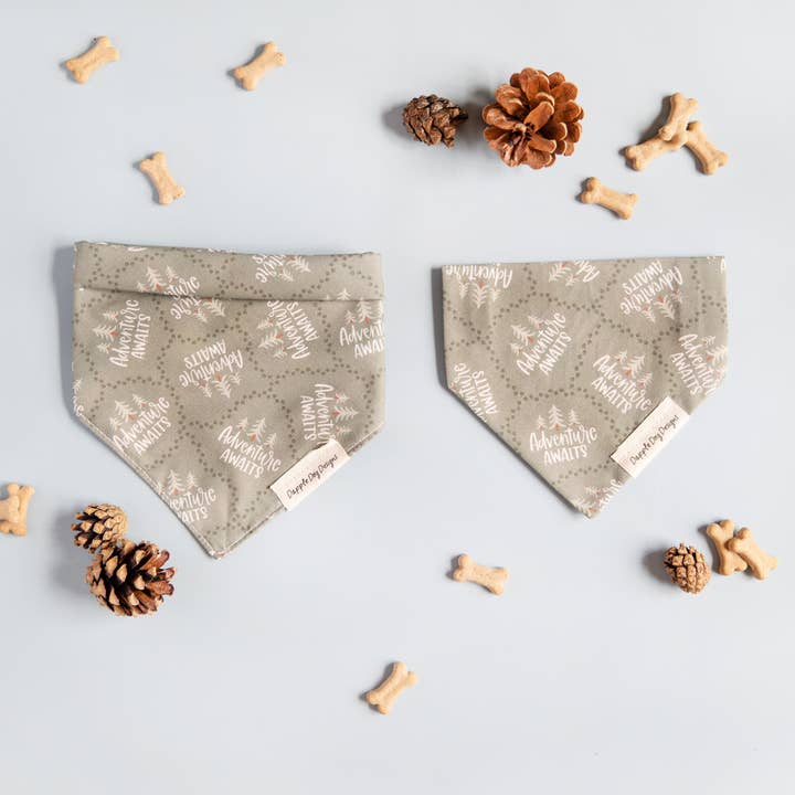 Adventure Awaits Bandana - Everyday Dog Bandana for wholesale by Dapple Dog Designs