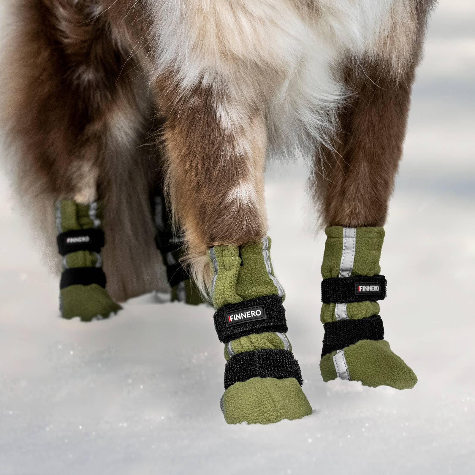 FINNERO - Wholesale Pet Boots - Dog - FINNERO HALLA REFLECTIVE Booties For Dogs 4pcs/pac, 3 Colors10