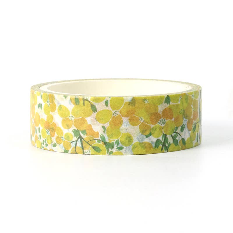 Love My Tapes Inc - Wholesale Washi Tape - Apricot Fruit Washi Tape2