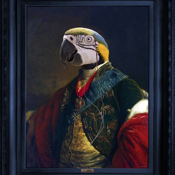 Lienzo decorativo para pared con diseño de loros «Cousin Parker» para venta al por mayor de Mineheart