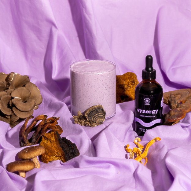 Fruiting Bodies – wholesale Tincture – Synergy Dual Extract Tincture - 4oz3