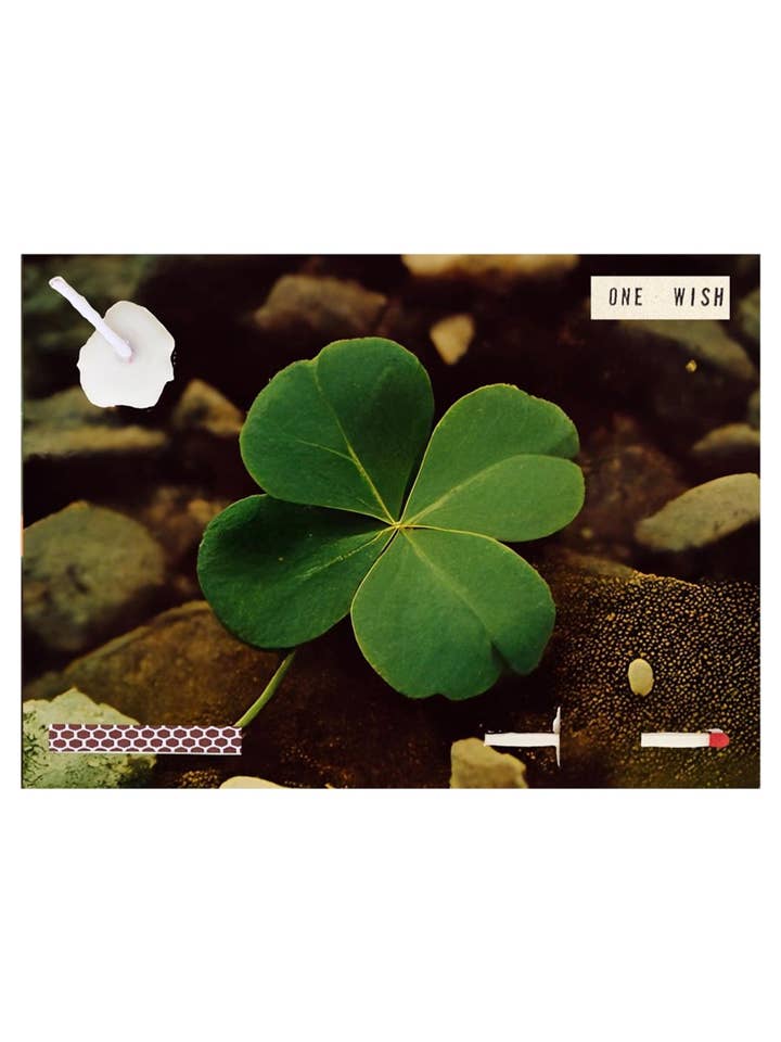Four Leaf Clover for wholesale by Wish Cards